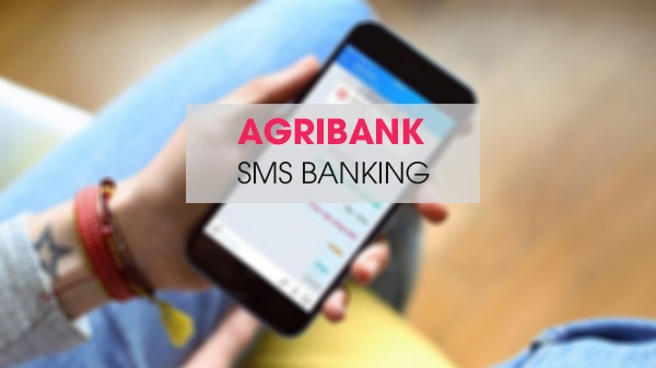 How to check Agribank account number?