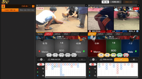 Đá gà trực tiếp tại casinomcw: Bí quyết chiến thắng và những thông tin mới nhất! 2 2023 11 14 172756