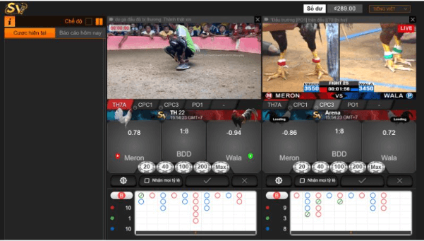 Đá gà trực tiếp tại casinomcw: Bí quyết chiến thắng và những thông tin mới nhất! 3 2023 11 14 172802