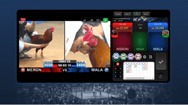 Đá gà trực tiếp tại casinomcw: Bí quyết chiến thắng và những thông tin mới nhất! 4 2023 11 14 172807