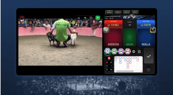 Đá gà trực tiếp tại casinomcw: Bí quyết chiến thắng và những thông tin mới nhất! 6 2023 11 14 173016 1